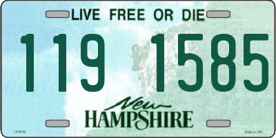 NH license plate 1191585