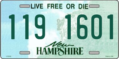 NH license plate 1191601