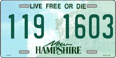 NH license plate 1191603