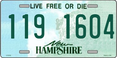 NH license plate 1191604