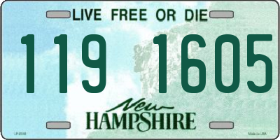 NH license plate 1191605