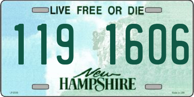 NH license plate 1191606