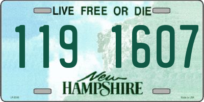 NH license plate 1191607