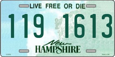 NH license plate 1191613