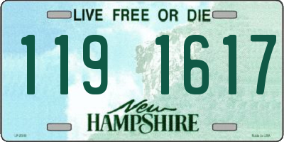 NH license plate 1191617
