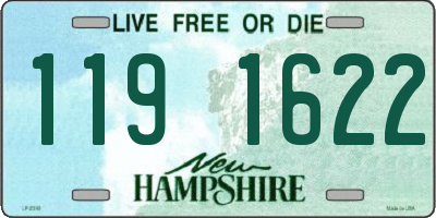 NH license plate 1191622