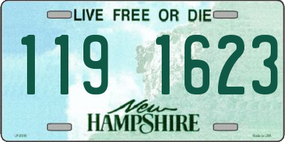 NH license plate 1191623