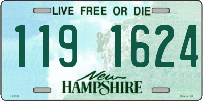 NH license plate 1191624