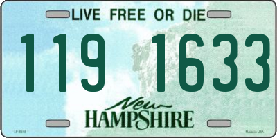 NH license plate 1191633