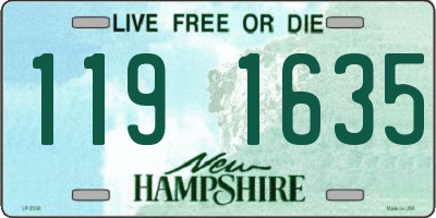 NH license plate 1191635