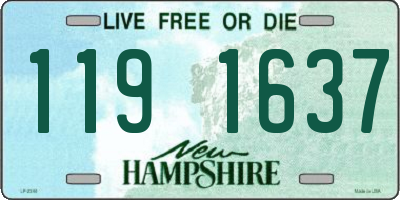 NH license plate 1191637