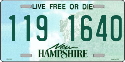 NH license plate 1191640