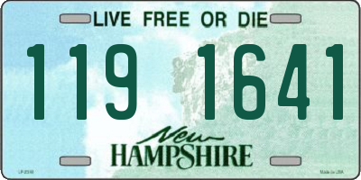 NH license plate 1191641