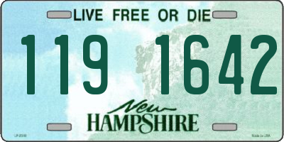 NH license plate 1191642