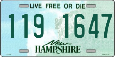 NH license plate 1191647