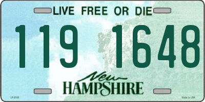NH license plate 1191648