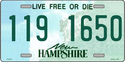 NH license plate 1191650