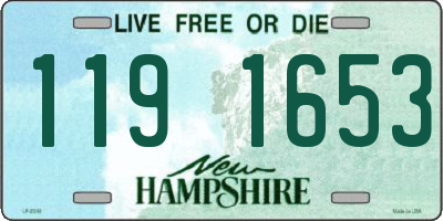 NH license plate 1191653