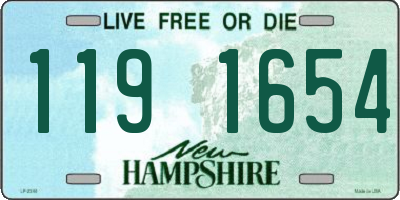 NH license plate 1191654