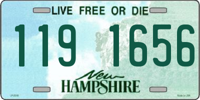 NH license plate 1191656