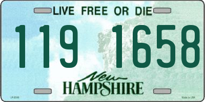 NH license plate 1191658