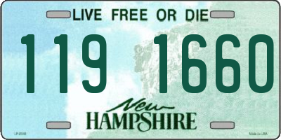 NH license plate 1191660