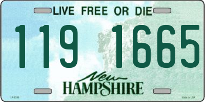 NH license plate 1191665