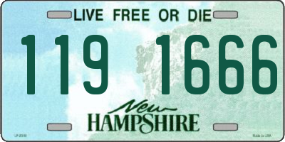 NH license plate 1191666