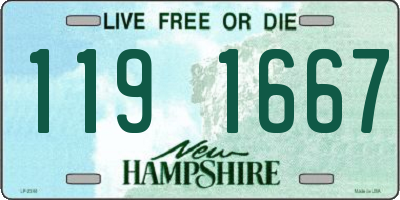NH license plate 1191667