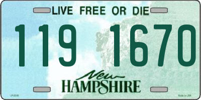 NH license plate 1191670