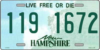 NH license plate 1191672