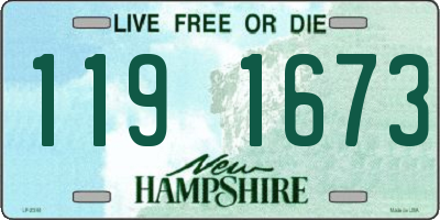 NH license plate 1191673