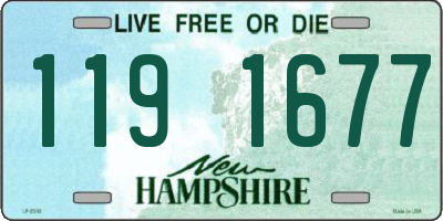 NH license plate 1191677