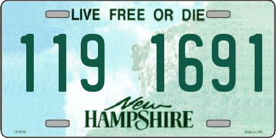 NH license plate 1191691