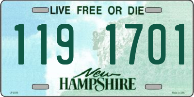 NH license plate 1191701