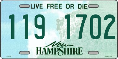 NH license plate 1191702