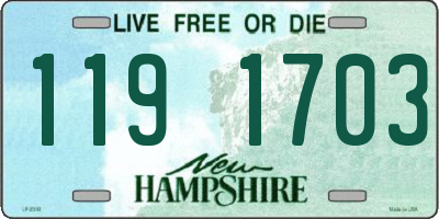 NH license plate 1191703