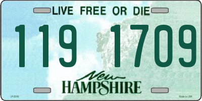 NH license plate 1191709