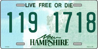 NH license plate 1191718