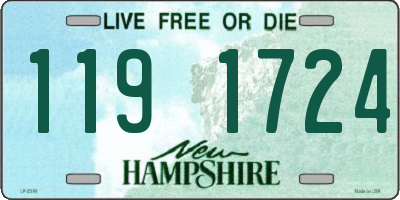 NH license plate 1191724