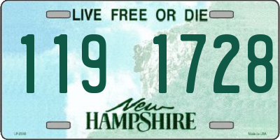 NH license plate 1191728