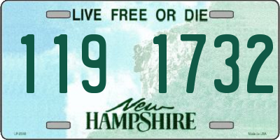 NH license plate 1191732