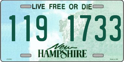 NH license plate 1191733
