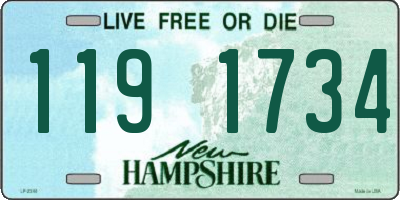 NH license plate 1191734