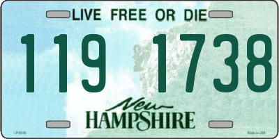 NH license plate 1191738