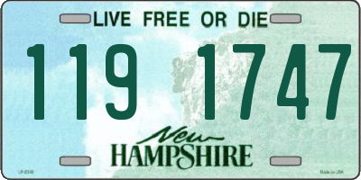 NH license plate 1191747
