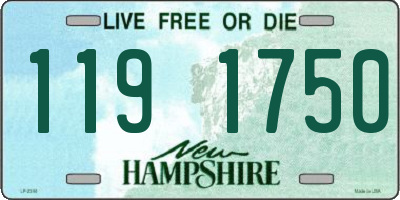NH license plate 1191750