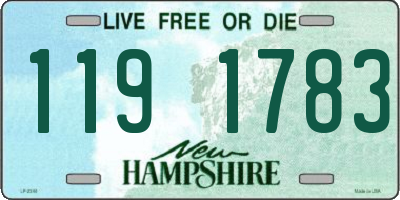 NH license plate 1191783
