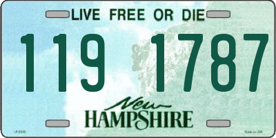 NH license plate 1191787