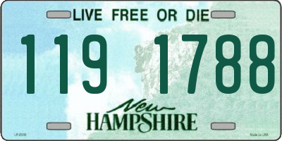 NH license plate 1191788
